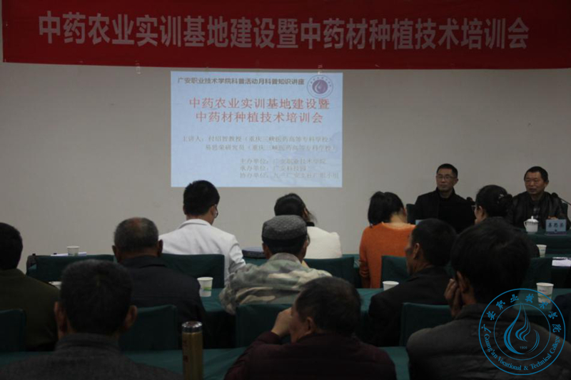 技术培训讲座 技术培训讲座