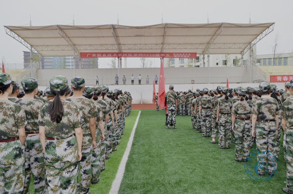 图片1 图片1