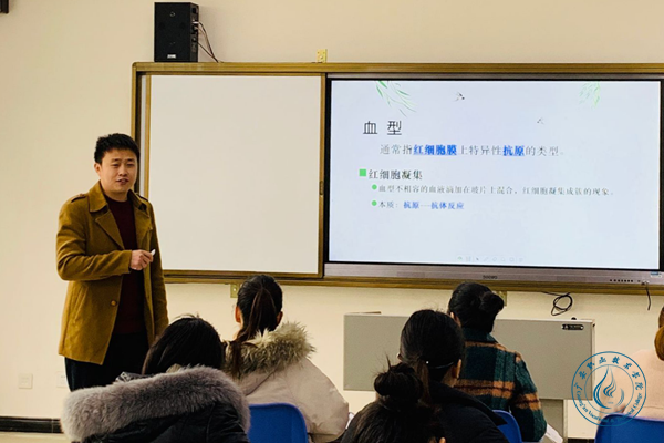 图片22 图片22