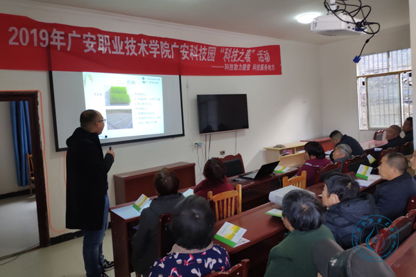 图片1 图片1