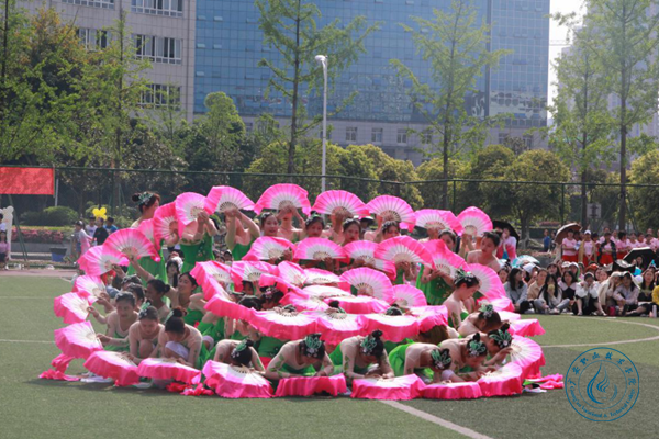 学前5 学前5