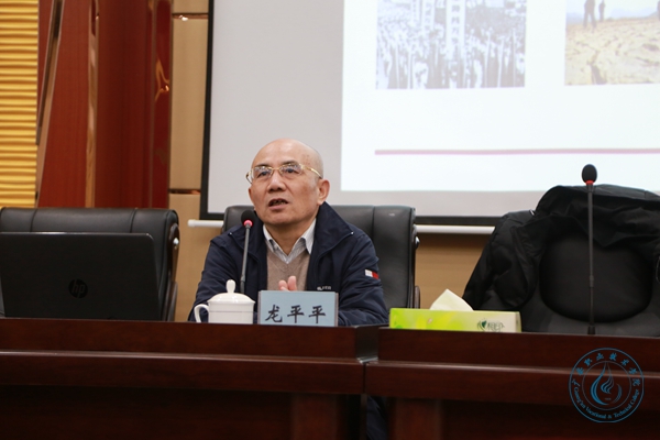 龙平 龙平